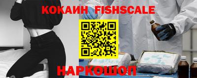 гидра Камышлов