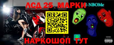 гидра Камышлов
