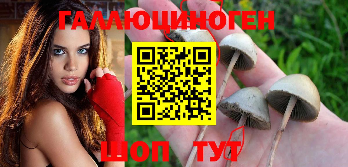 Галлюциногенные грибы MAGIC MUSHROOMS  Кумертау 